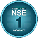 NSE 1