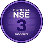NSE 3