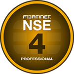 NSE 4