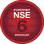 NSE 6