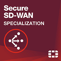Secure SD-Van Specialization